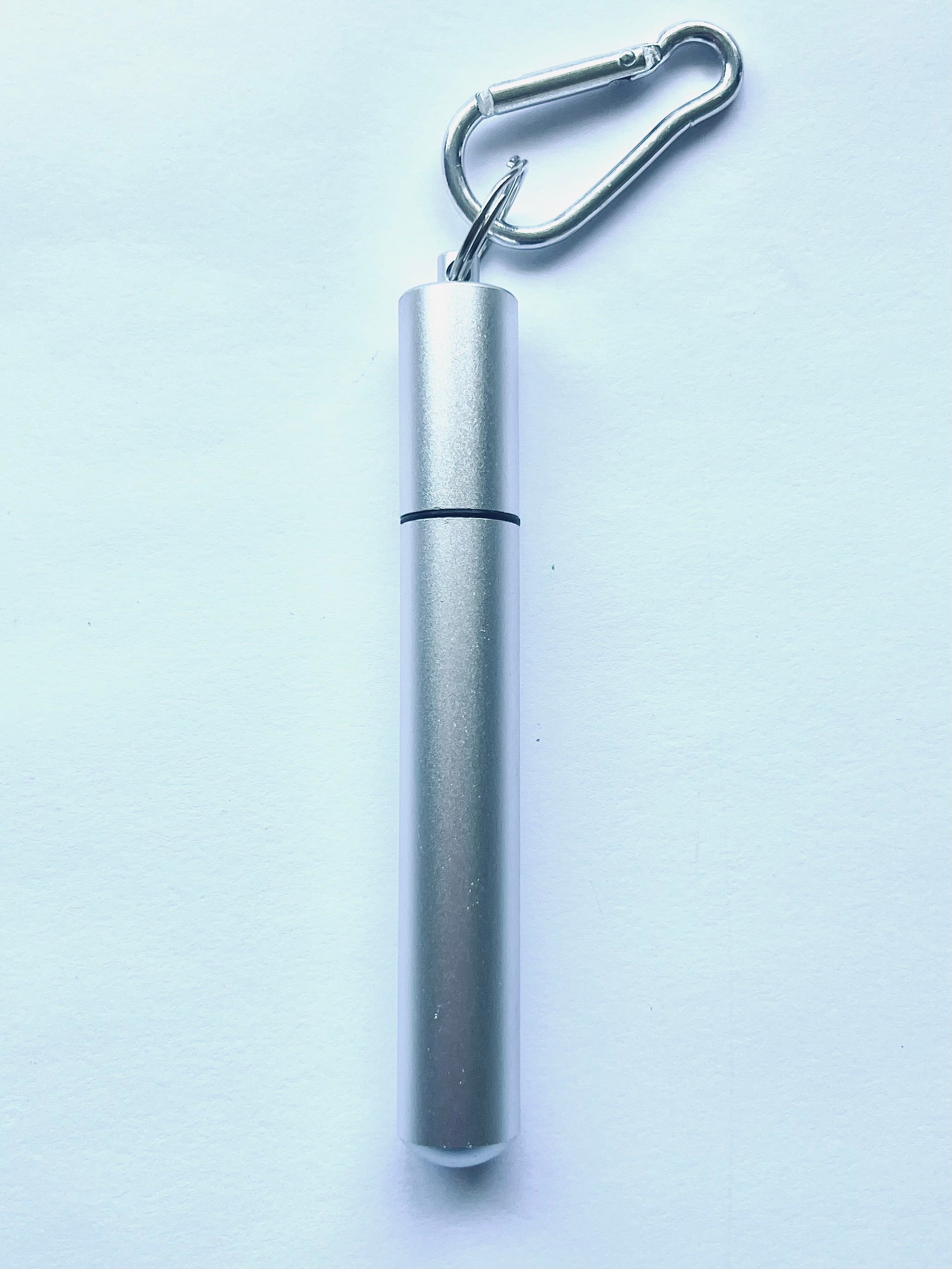 Metal Straw w/Cleaning Brush