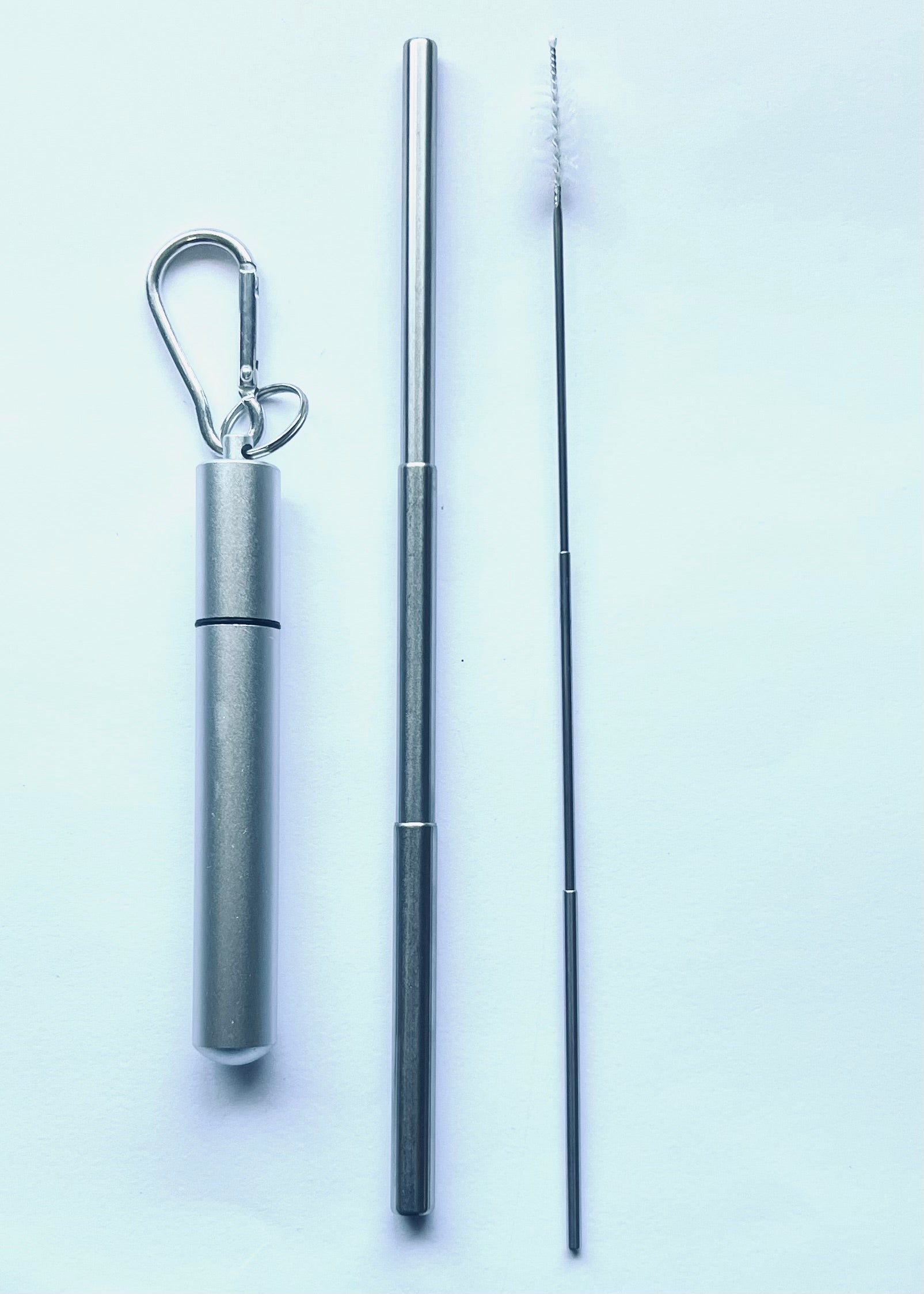 Metal Straw w/Cleaning Brush